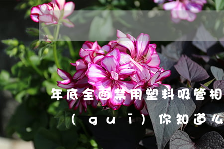 年底全面禁用塑料吸管，相關(guān)法規(guī)你知道么？